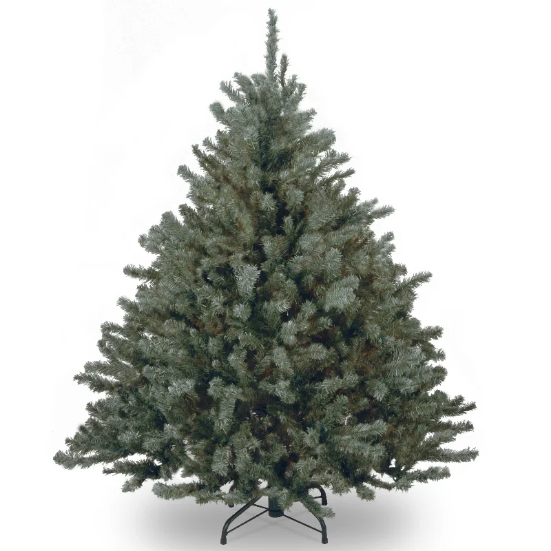 4.5 ft. Aberdeen Blue Spruce Tree