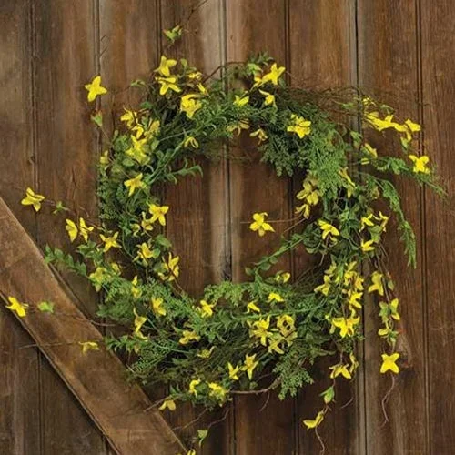 Forsythia Wreath 22"